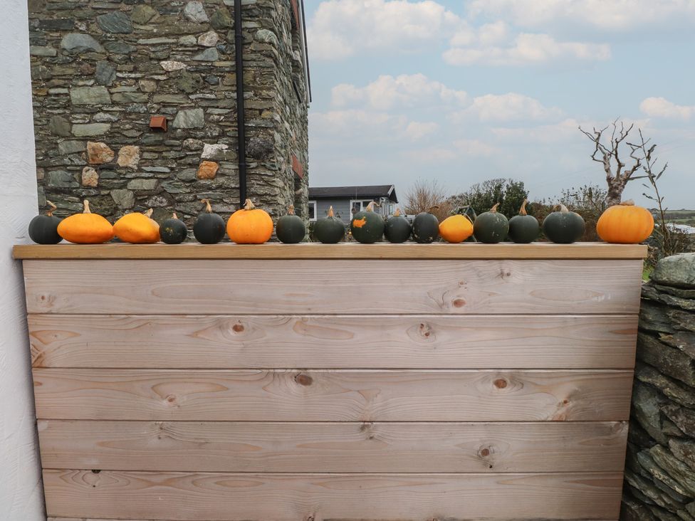 A row of pumpkins on top of a wooden fence at Hen Penmynydd near Llanfachraeth