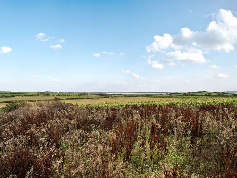A landscape with grass and weeds under a clear sky at Hen Penmynydd Llanfwrog near Llanfachraeth