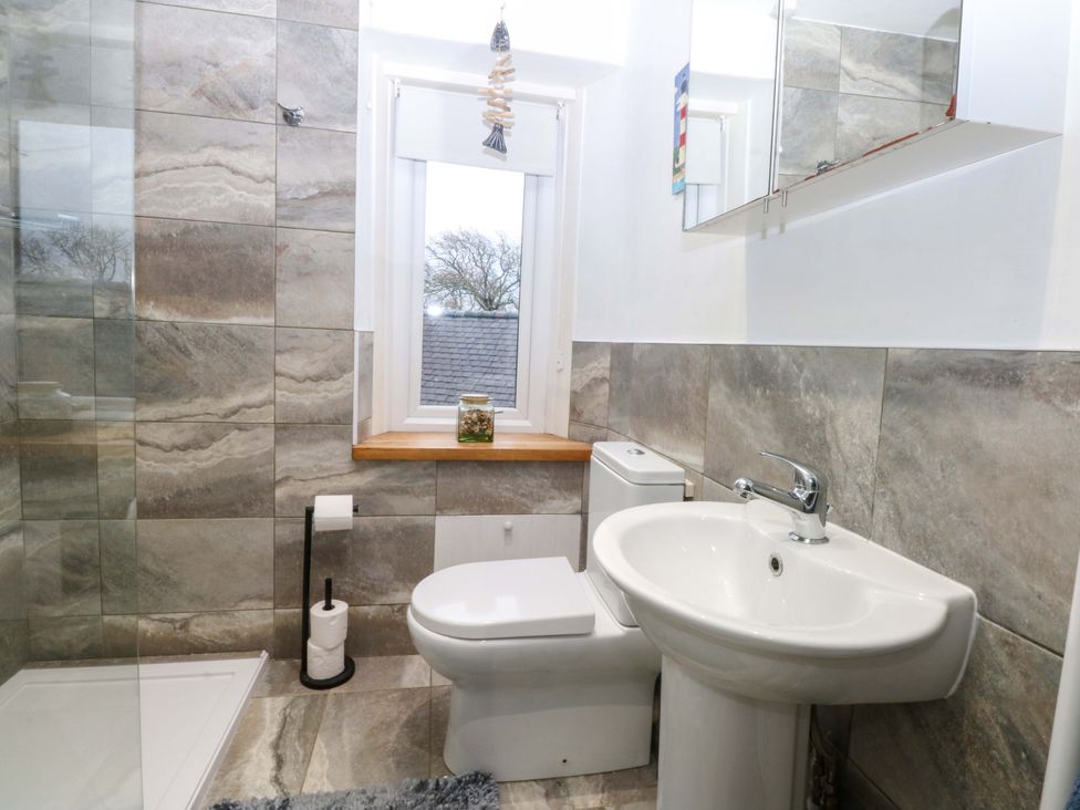 A bathroom with a toilet, sink, and shower area at 4 Brynteg Terrace Menai Bridge