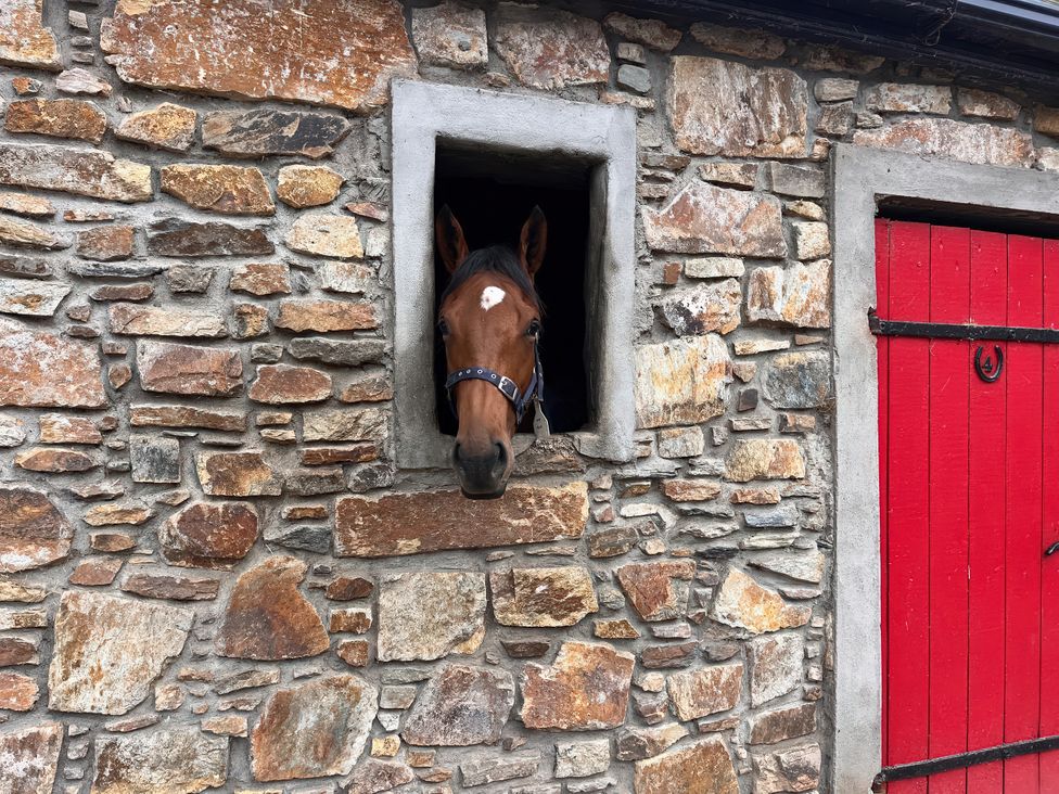 Robins Rest at The Lodge - South Ireland - 1190502 - thumbnail photo 2
