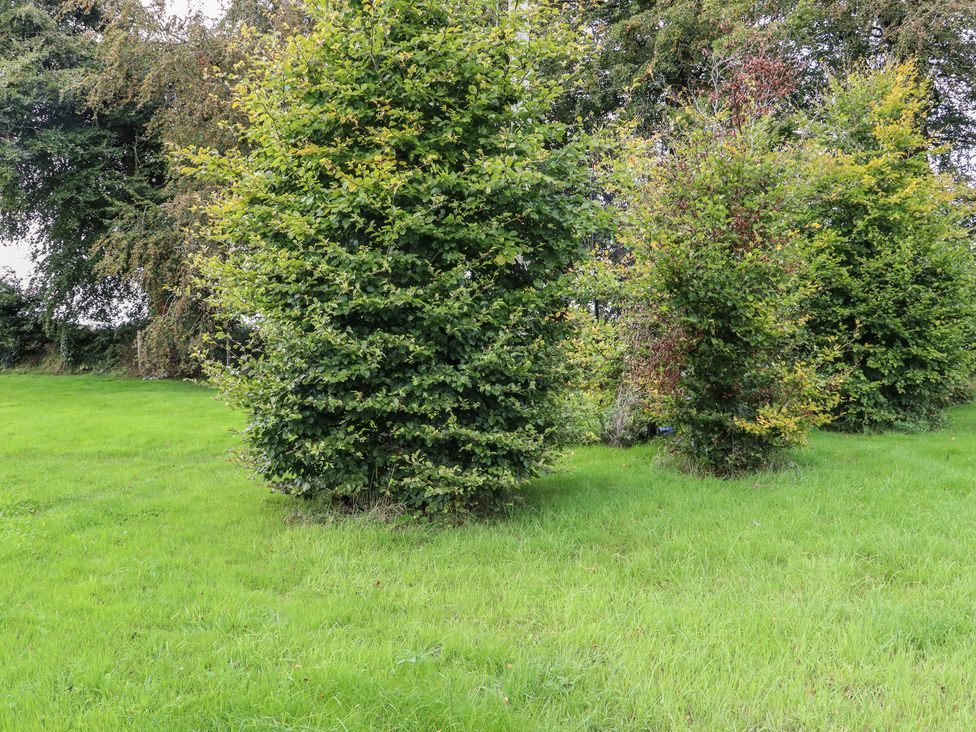 A garden with several trees in a grassy area at Robins Rest at The Lodge, Ahanaglogh near Kilmacthomas, County Waterford