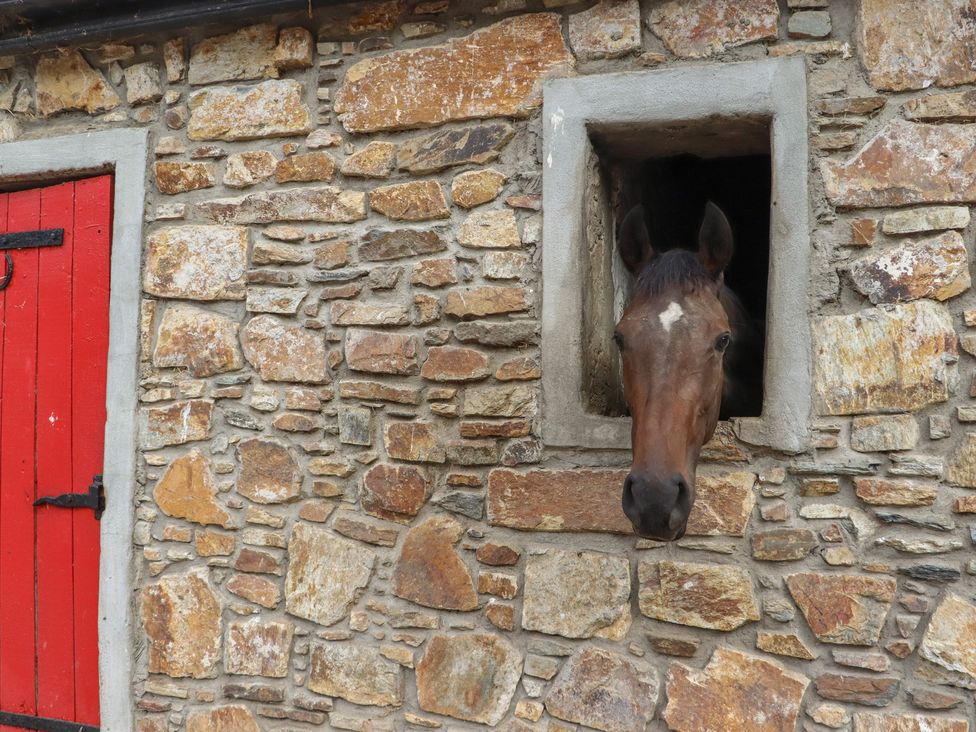 A horse looking out of a stone wall window at Robins Rest at The Lodge, Ahanaglogh near Kilmacthomas, County Waterford