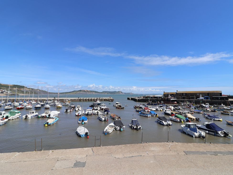 A view of boats in a harbor at Avocet in Lyme Regis