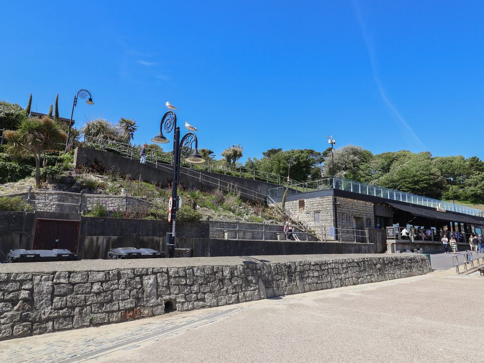 A scenic outdoor area with steps, plants, and a building at Avocet in Lyme Regis
