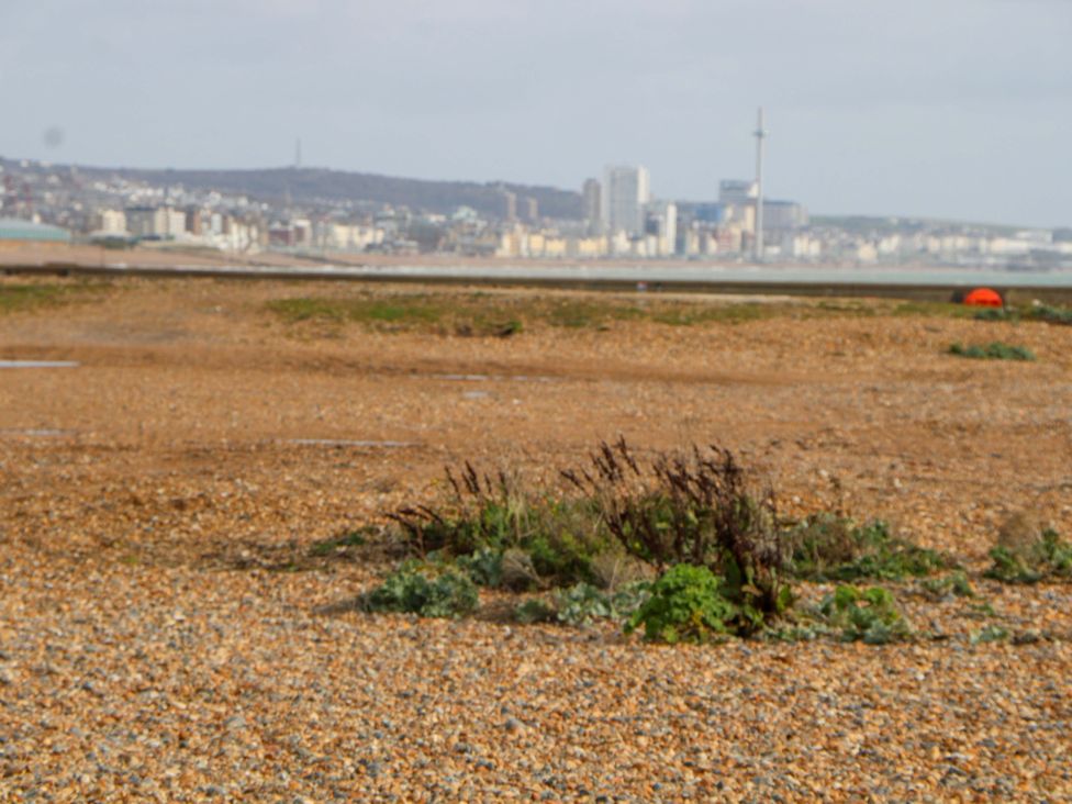 A beach scene with pebbles and city skyline at 67a Harbour Way Shoreham-by-Sea