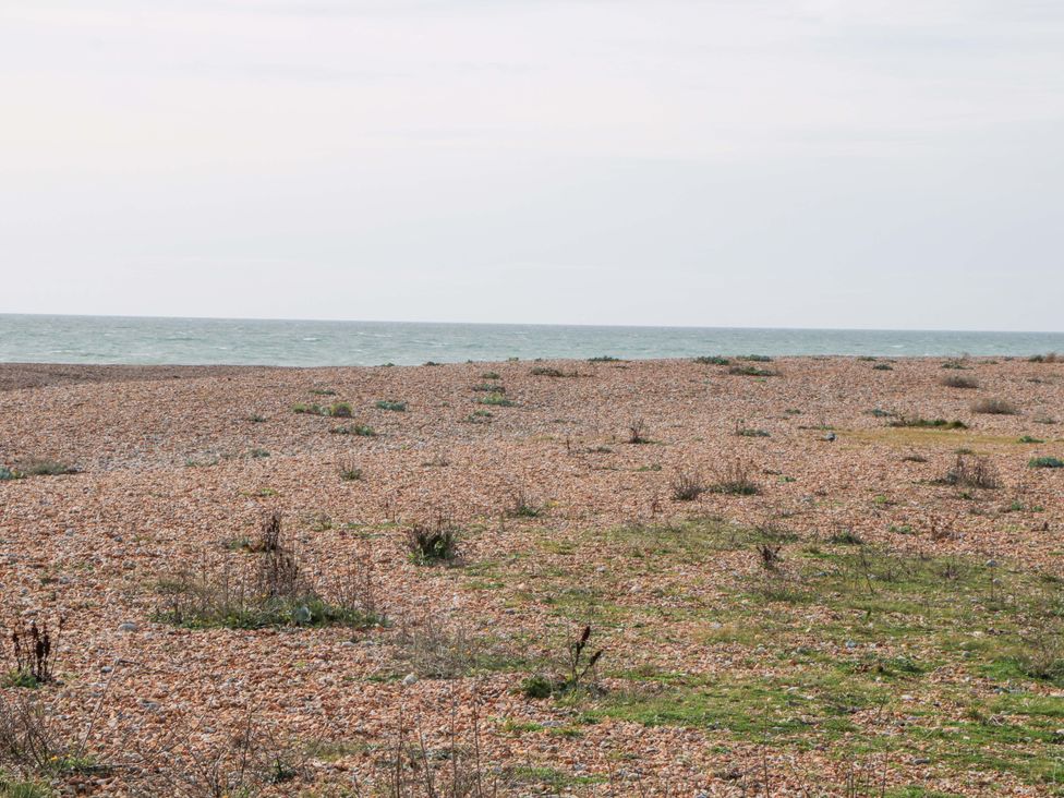 A beach with pebbles and sparse vegetation near the ocean at 67a Harbour Way Shoreham-by-Sea
