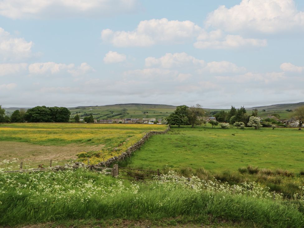 A view of a green field with a stone fence and trees at Daleholme in Barnard Castle