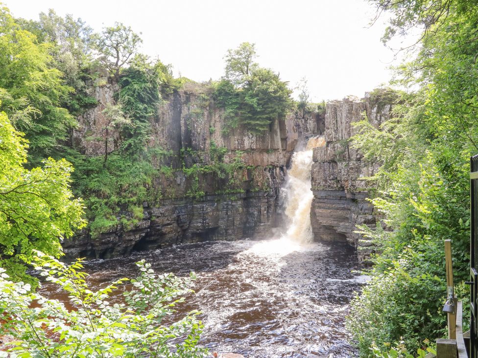 A waterfall cascading into a river surrounded by trees at Daleholme in Barnard Castle