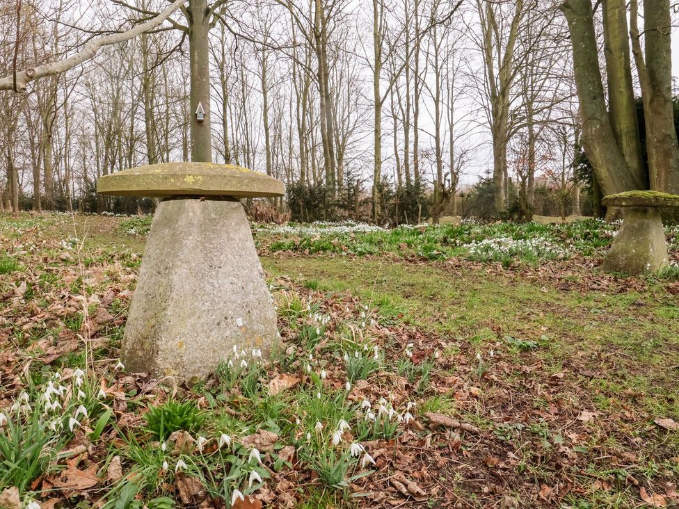 A stone bench surrounded by snowdrop flowers in an outdoor area at Owl Cottage in Woodbridge