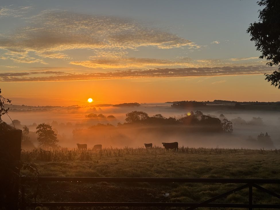 A sunrise with cows in a misty field at The Bus on the Hill in Huntsham near Bampton, Devon