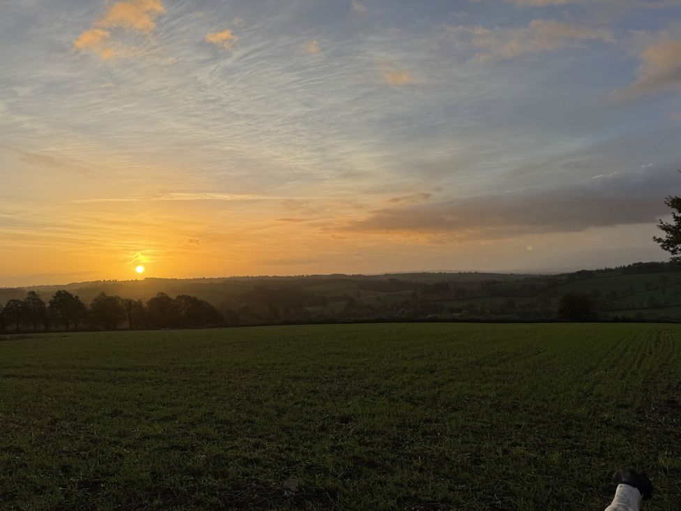 A sunset over fields with trees at The Bus on the Hill in Huntsham near Bampton, Devon