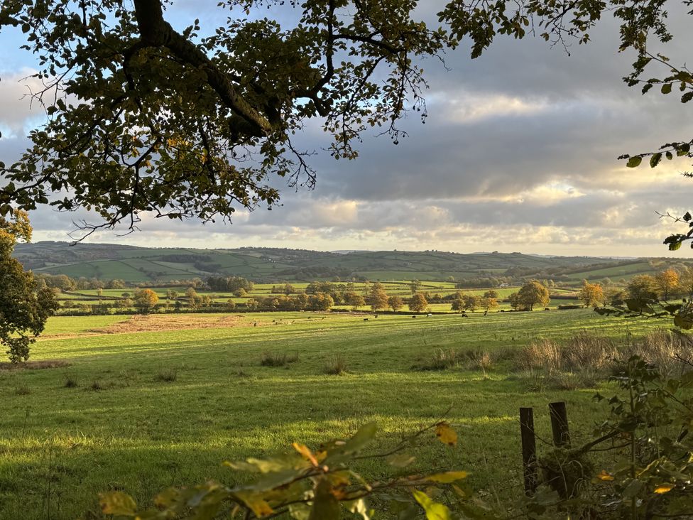 A view of rolling hills and fields with trees at The Bus on the Hill in Huntsham near Bampton, Devon