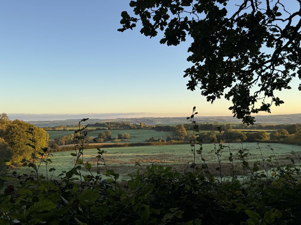 A scenic view of fields and trees at The Bus on the Hill in Huntsham near Bampton, Devon