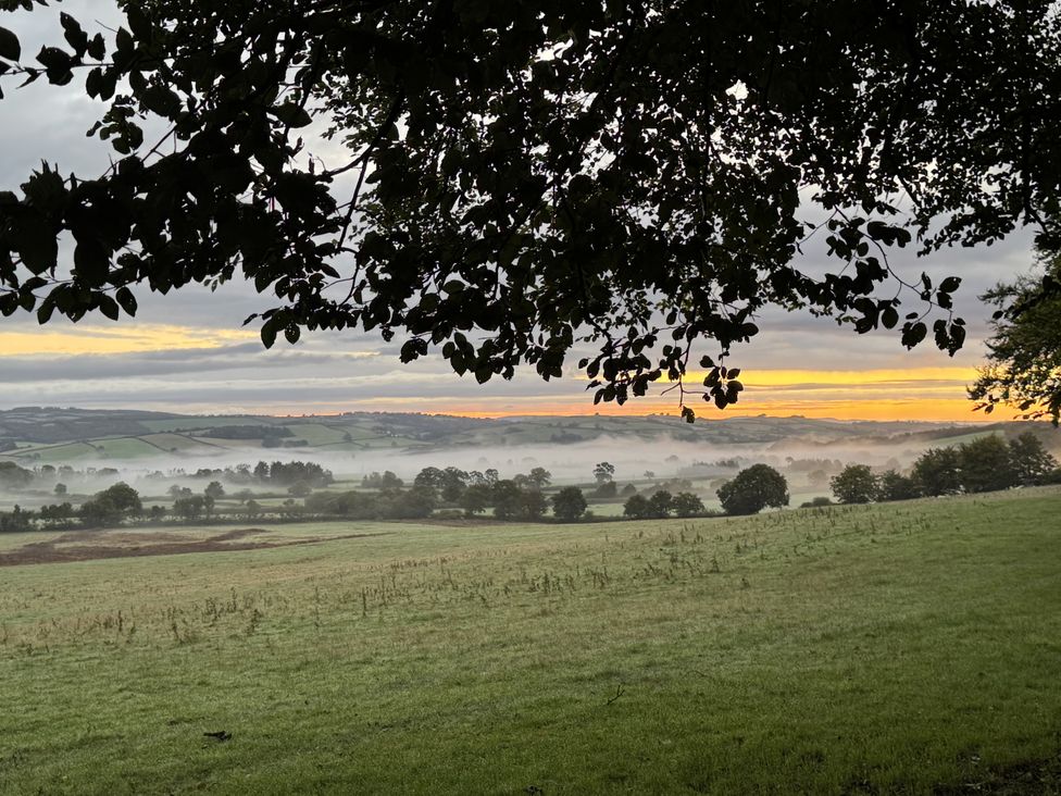 A foggy landscape with trees and fields at The Bus on the Hill Huntsham near Bampton, Devon