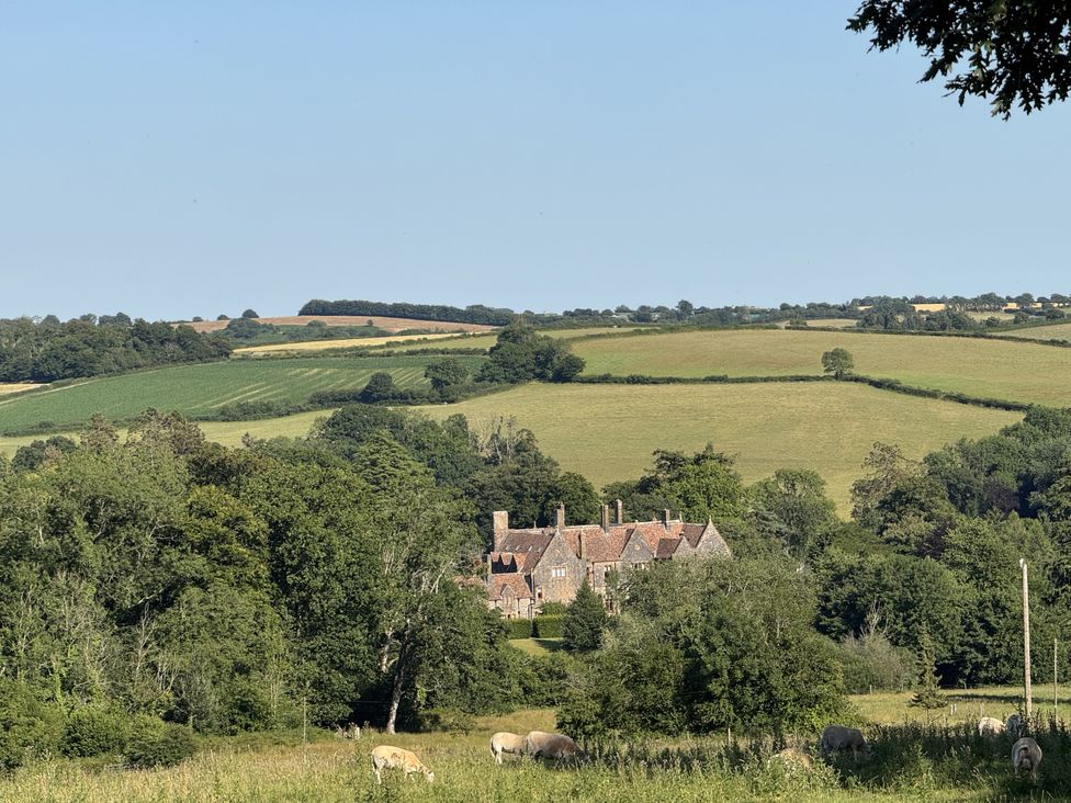 A rural landscape featuring a farmhouse and grazing cows at The Bus on the Hill in Huntsham near Bampton, Devon
