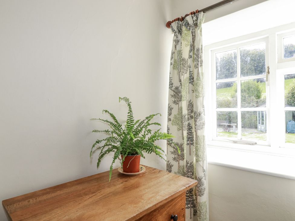A table with a plant near a window at Tresarrett Manor in Bodmin