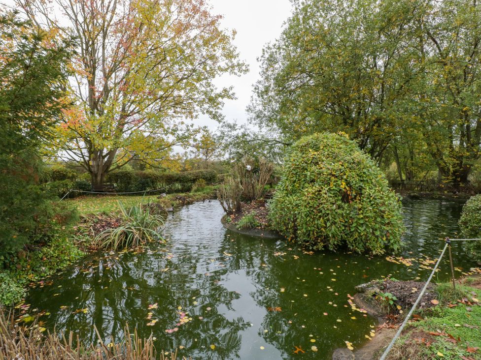 A garden with a pond surrounded by greenery at Orchard Cottage in Corse near Gloucester