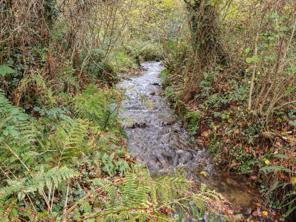 A stream surrounded by ferns and trees at Copper Mine Cottage Bodmin