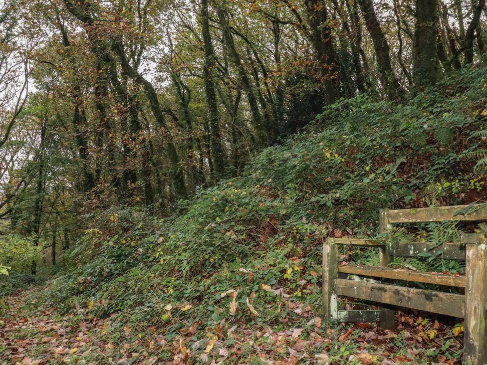 Copper Mine Cottage - Cornwall - 1190761 - thumbnail photo 24