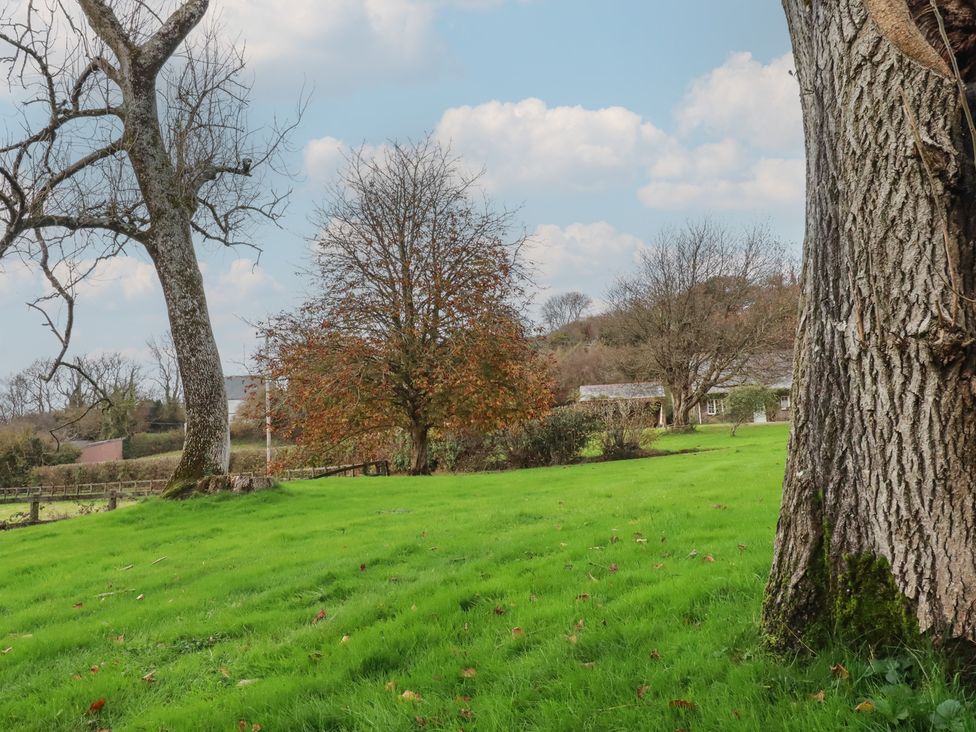 A garden with trees and grass at Copper Mine Cottage in Bodmin