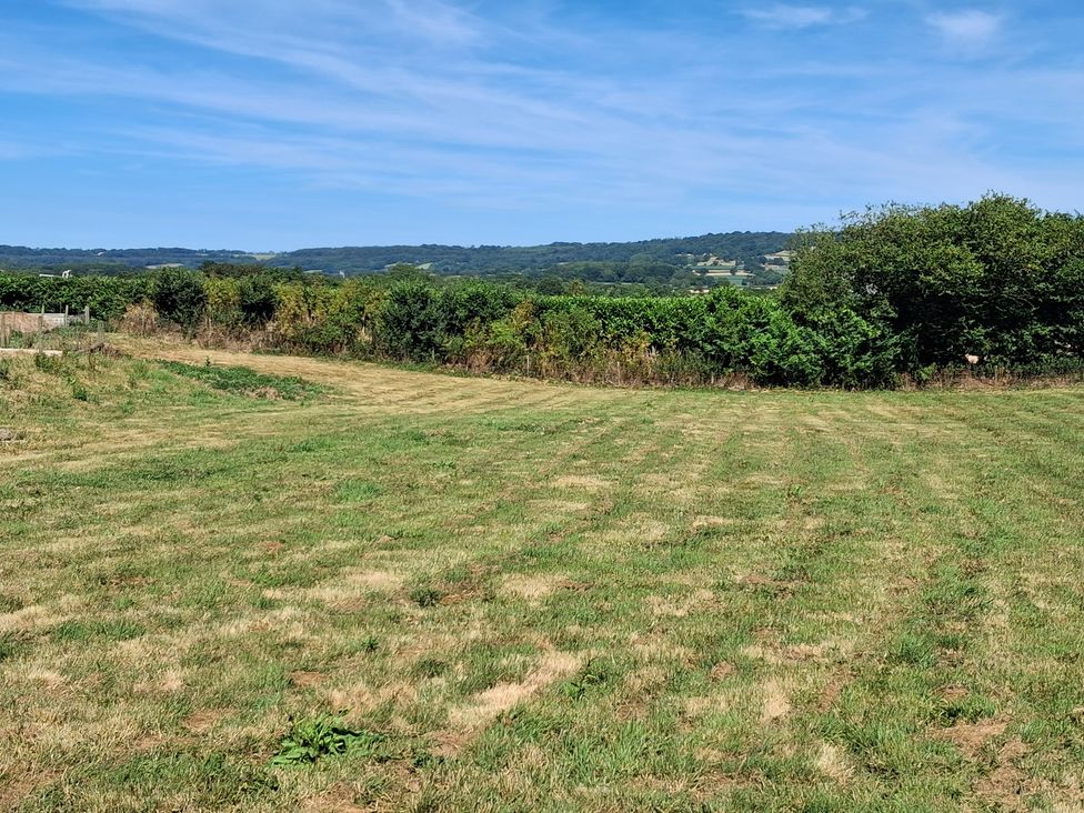 A field with grass and trees in the background at The Milk Shed in Plymtree