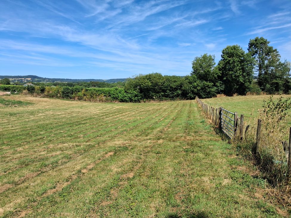 A field with a fence and trees in the background at The Milk Shed in Plymtree