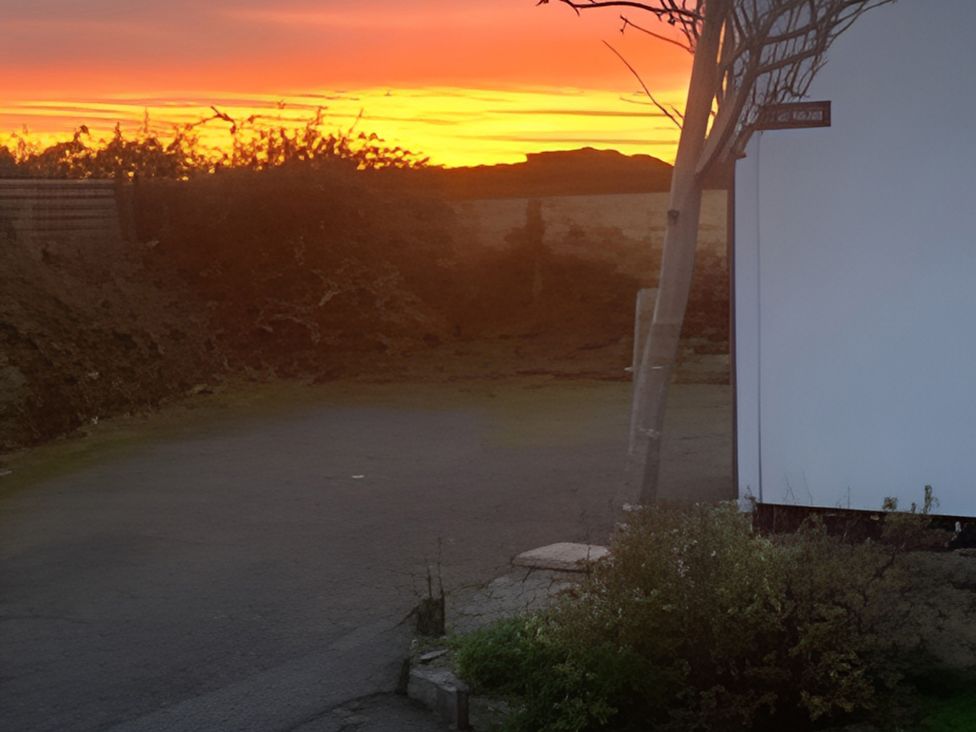 A view of a sunset with a tree and road at The Nook in 