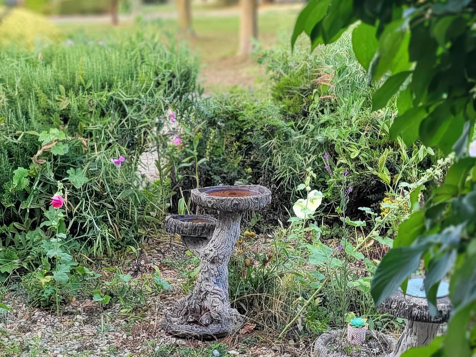 A garden with a birdbath surrounded by flowers and shrubs at 