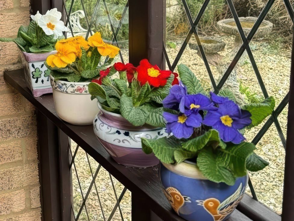 A shelf with flower pots containing various colored flowers at the property in 