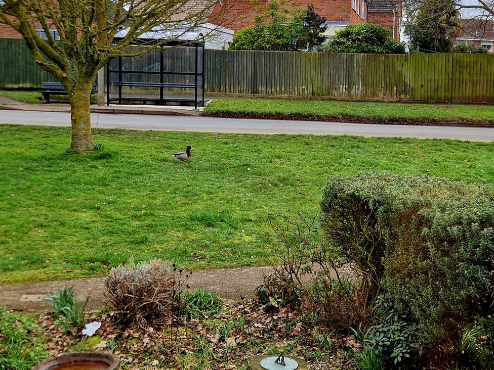 An outdoor area with a duck and a tree at Quackers in Heacham