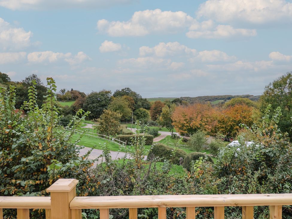 A view of trees and a road in an outdoor area at caravan NEW Uplyme