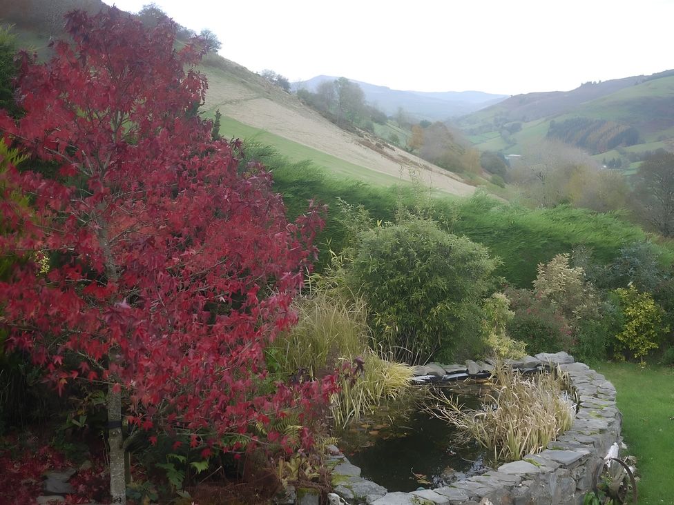 A garden with a red tree and pond at Tranquil Cottage