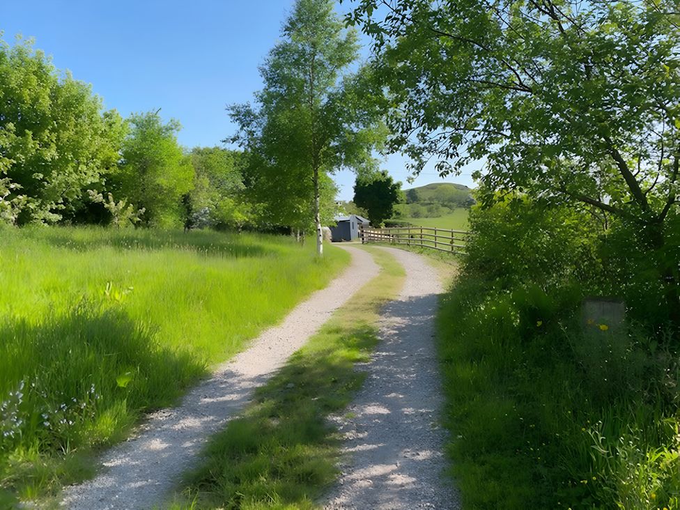 A gravel path lined by trees and grass at Tranquil Cottage