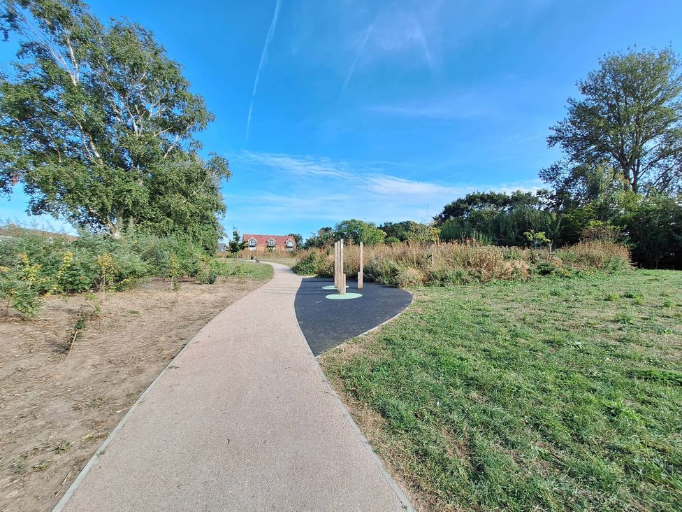 A pathway leading through greenery in a park
