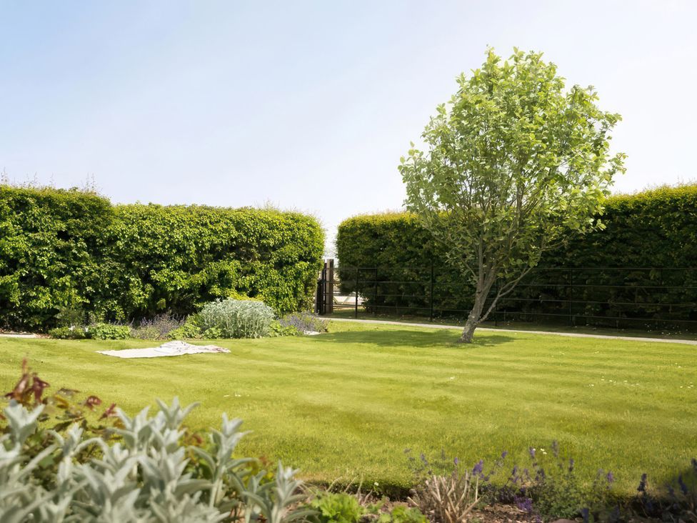 A garden with a tree and hedges at The Granary, Engollan near St Merryn