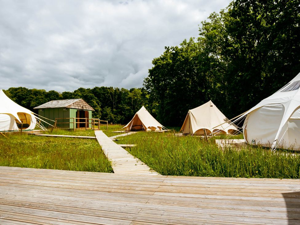 An outdoor area with tents and a cabin surrounded by grass and trees at 