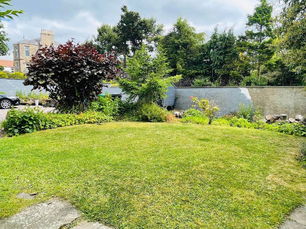 A garden with trees and grass at the property in an unspecified location