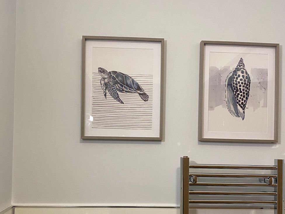 A turtle and shell artwork on a wall in a bathroom