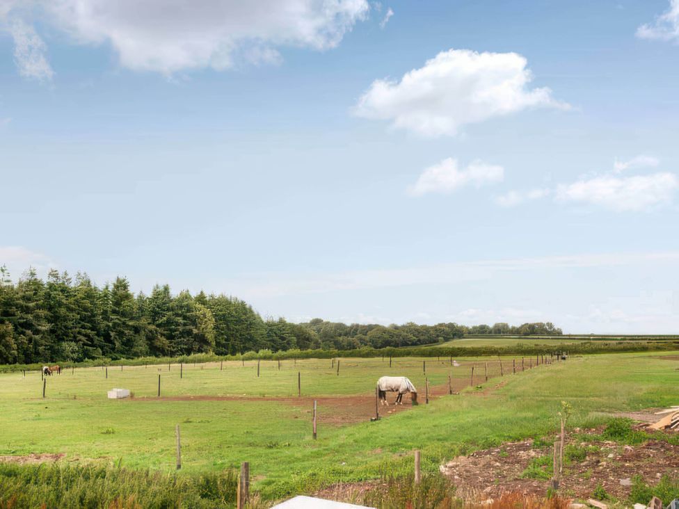 An outdoor area with a horse in a field at Old Highwood Barns Dunkeswell