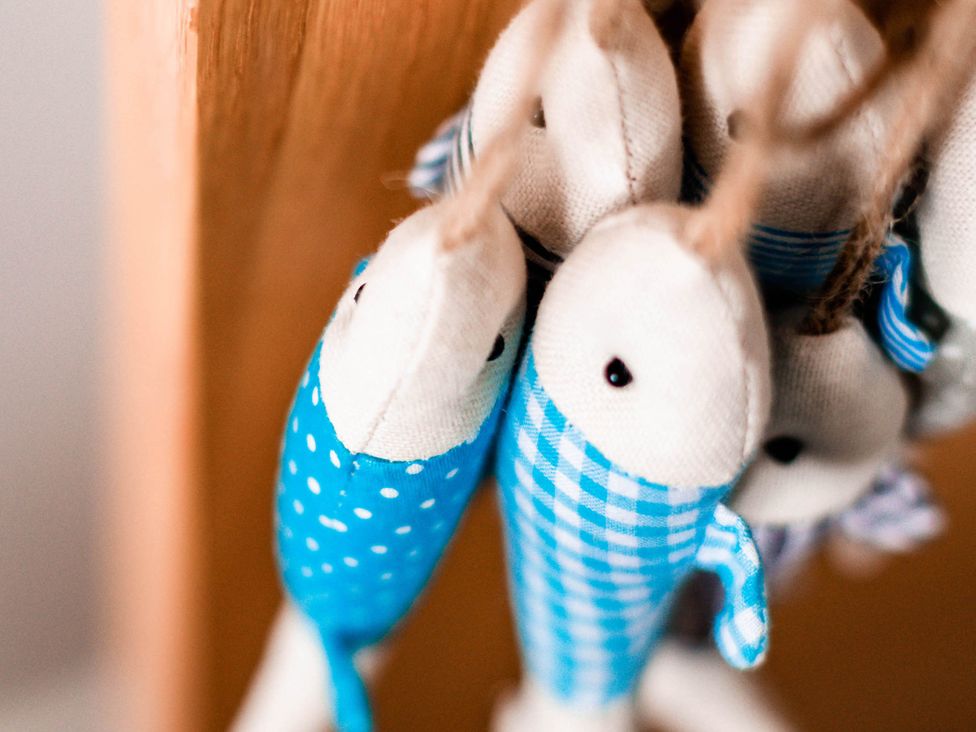 Decorative fish hanging on a string against a wooden background