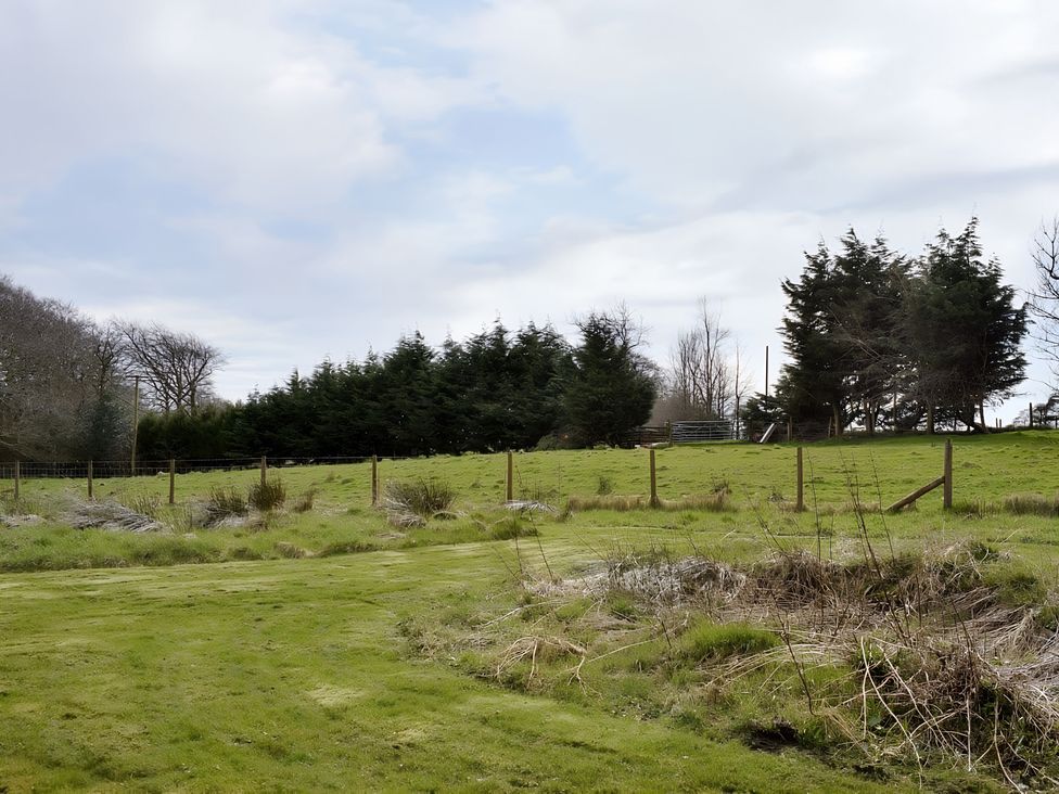 A field with trees and a fence at Gisburn Forest Lodge