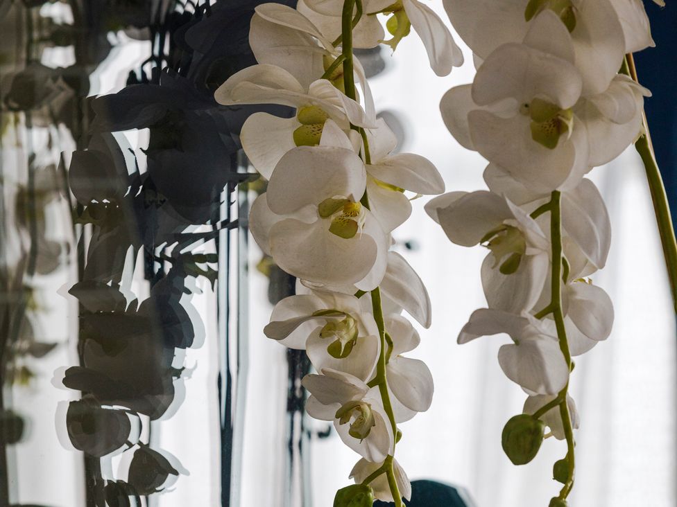 White orchids in a glass vase at Stay Robun