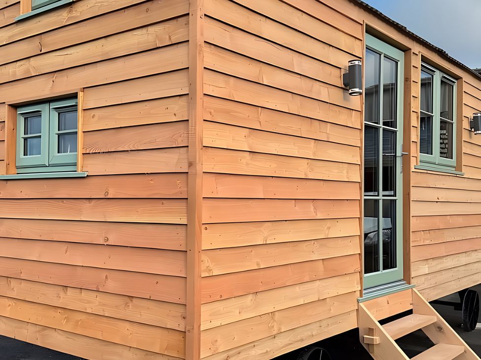 A wooden cabin exterior with windows and door at Y Nyth