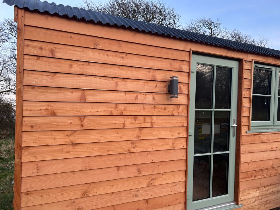 A wooden cabin exterior with a door and window at Y Nyth