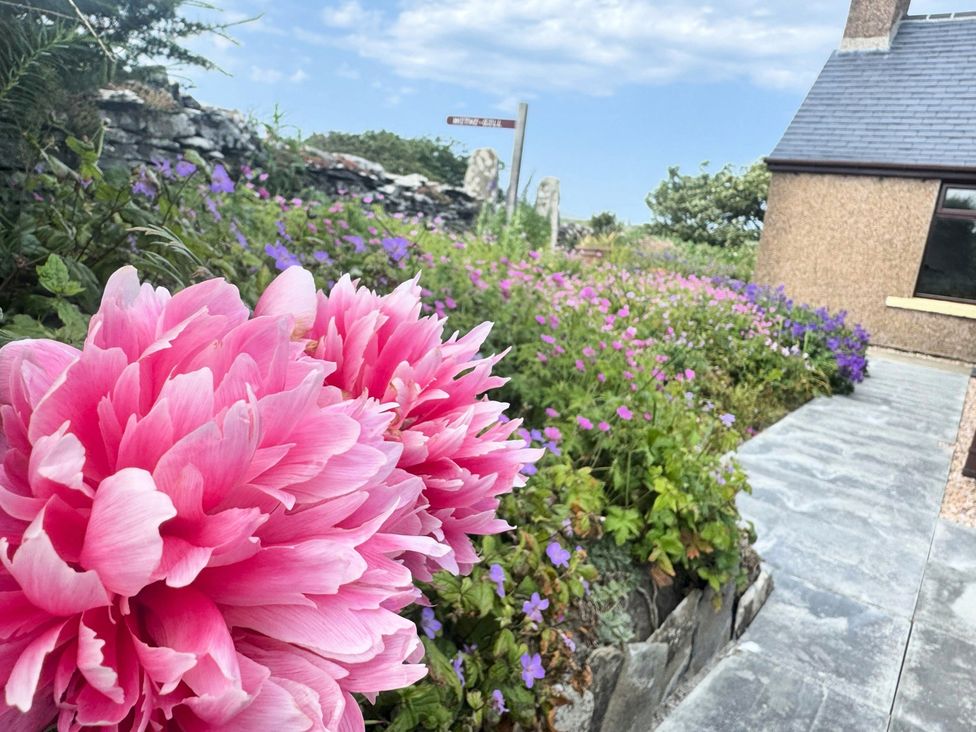A garden with flowers and a pathway at Withi-Gill 