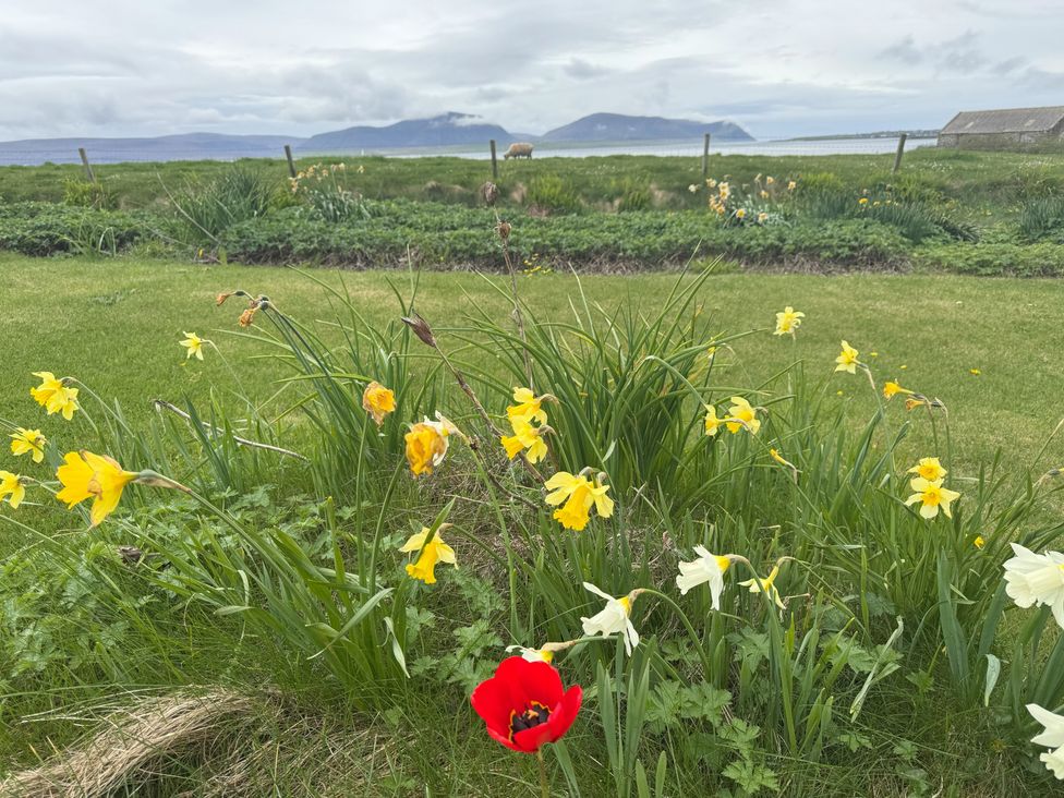 Flowers in a garden with a view of the ocean and mountains at Withi-Gill