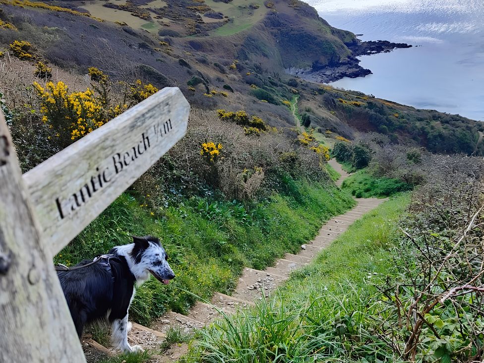A dog near a sign for Lantic Beach along a coastal path