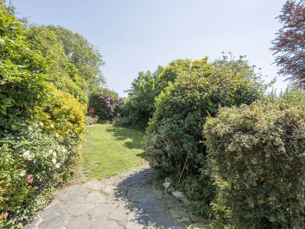 A garden pathway surrounded by greenery at Bwthyn Nain in Harlech