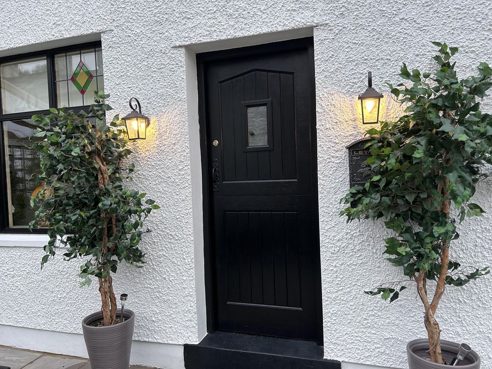A front door with potted plants and light fixtures at the entrance