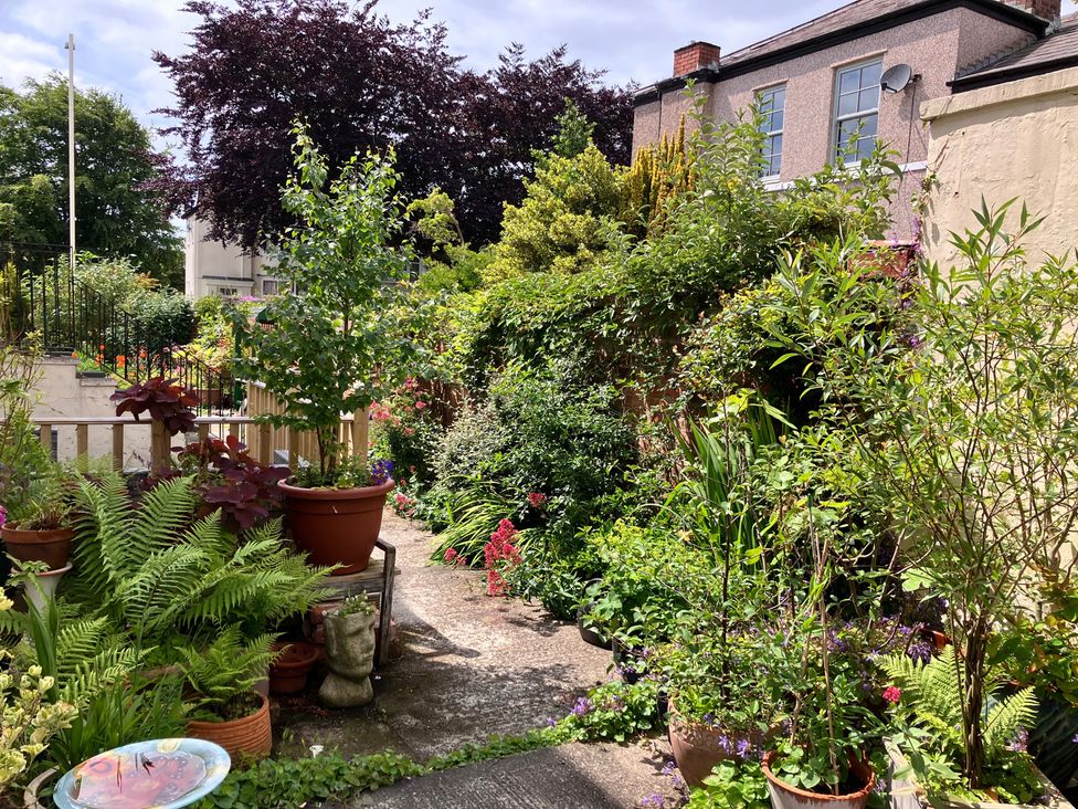 A garden with various plants and a pathway at Flat 2A 